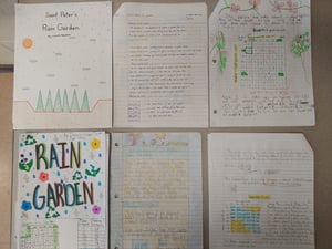 Rain Garden-4